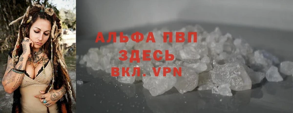 сатива Няндома