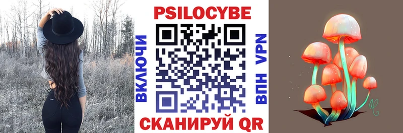 Псилоцибиновые грибы мицелий  купить наркоту  Дальнегорск 