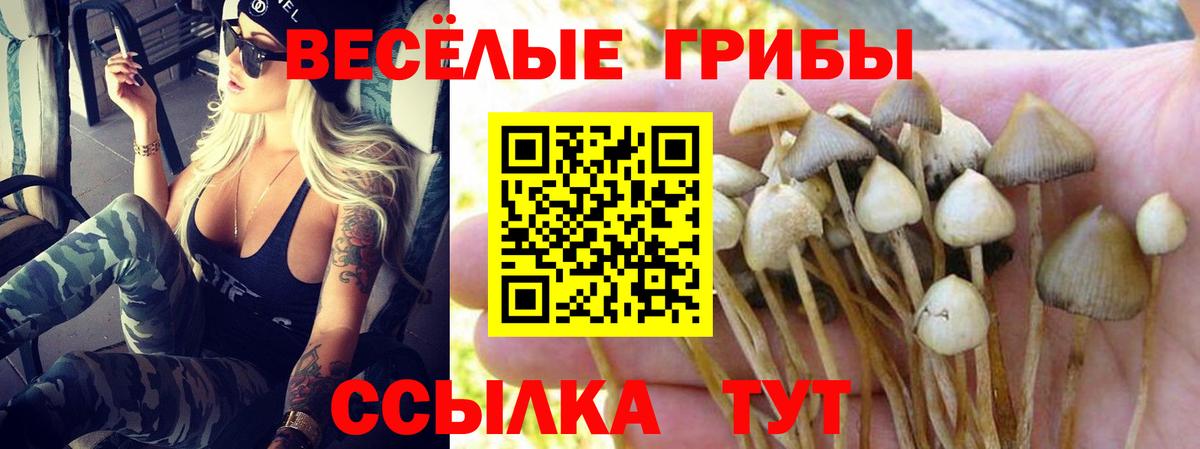 Псилоцибиновые грибы Psilocybine cubensis  Псилоцибиновые грибы GOLDEN TEACHER  Дальнегорск  Вход с VPN 