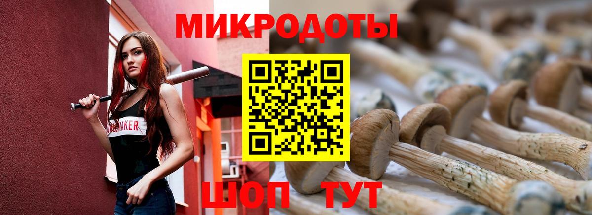 Галлюциногенные грибы Psilocybe Дальнегорск