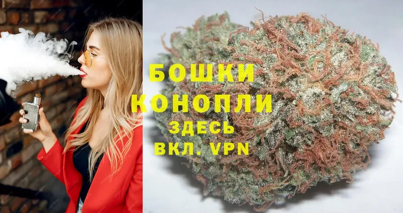 магазин продажи наркотиков  Дальнегорск  Конопля SATIVA & INDICA 